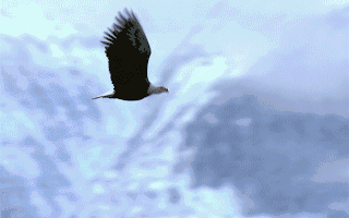 市场缩量震荡关注宏观经济动态